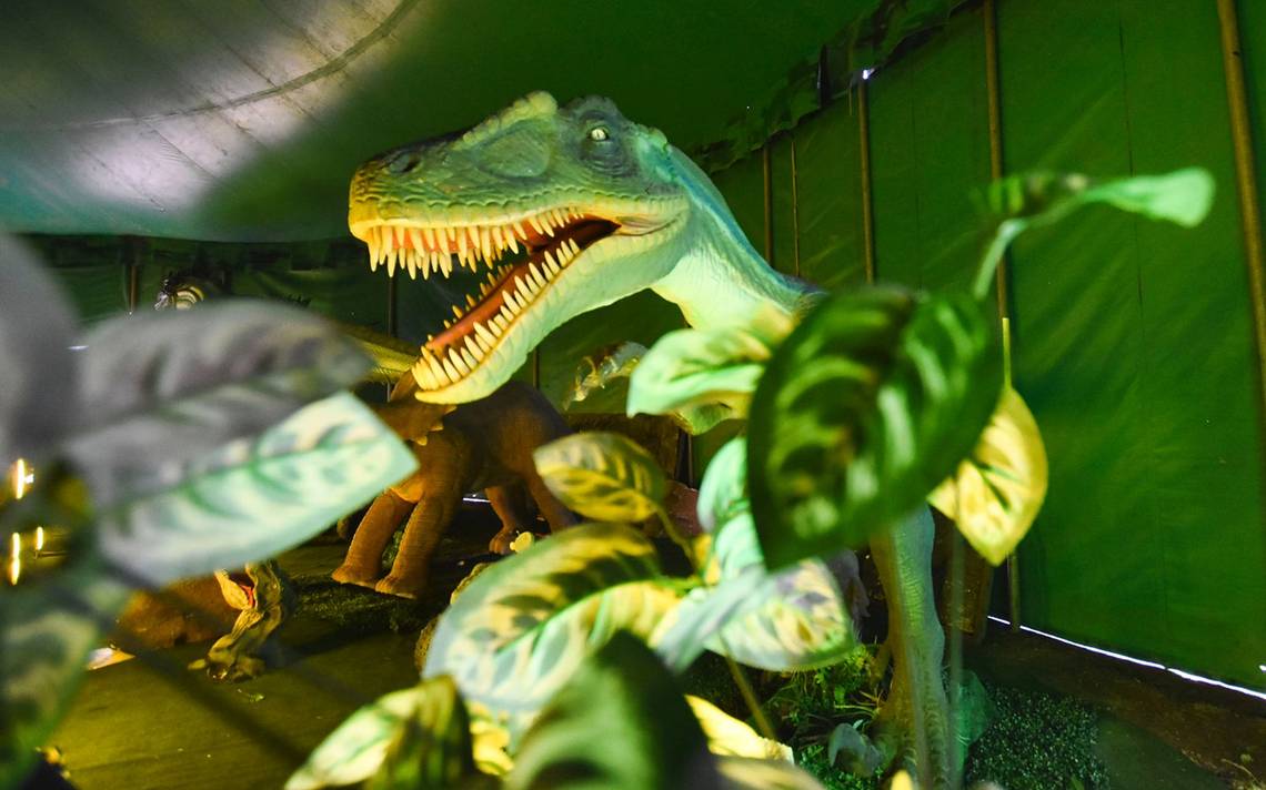 Llega a Querétaro el mundo de los dinosaurios! - Diario de Querétaro |  Noticias Locales, Policiacas, de México, Querétaro y el Mundo