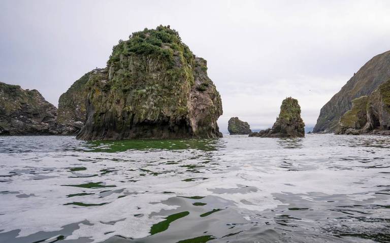 Iceberg gigante amenaza a pingüinos y focas en el Atlántico Sur - Diario de  Querétaro