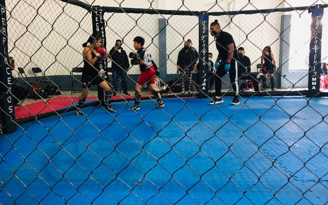 L’Association de Kick Boxing se prépare aux élections d’État – Diario de Querétaro